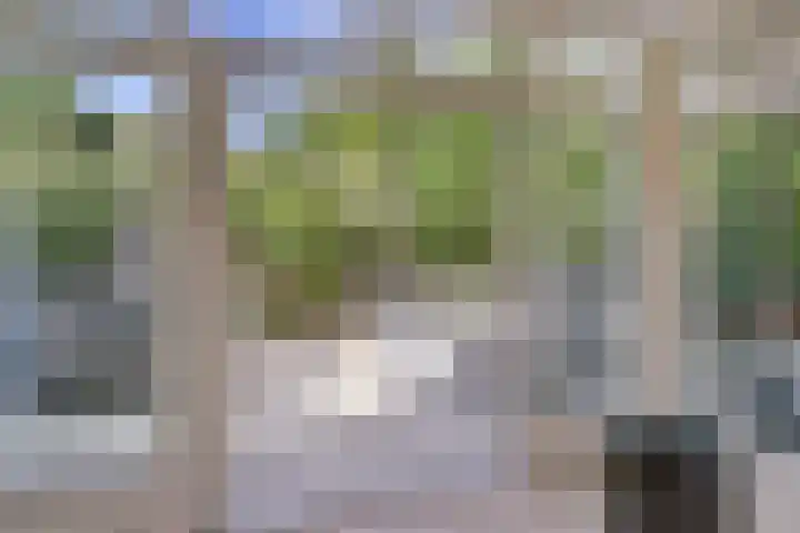Domineeshof 10 Vessem thumbnail 25