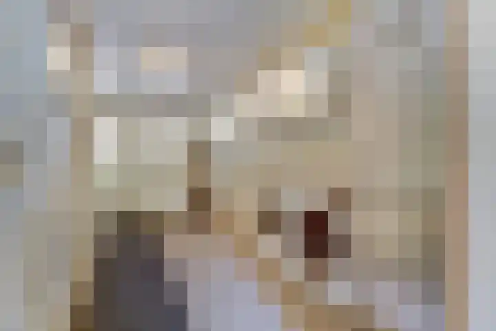 Domineeshof 10 Vessem thumbnail 26