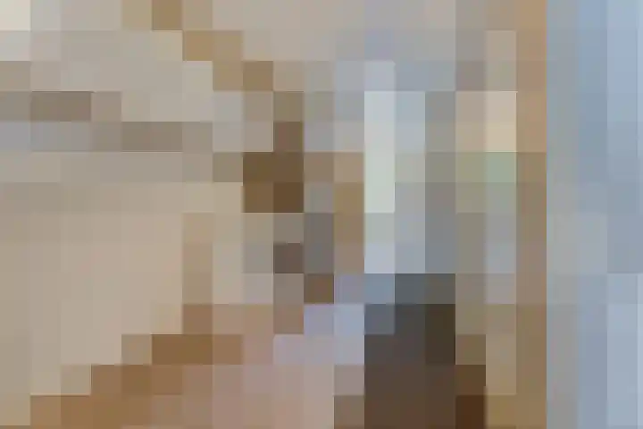 Domineeshof 10 Vessem thumbnail 28