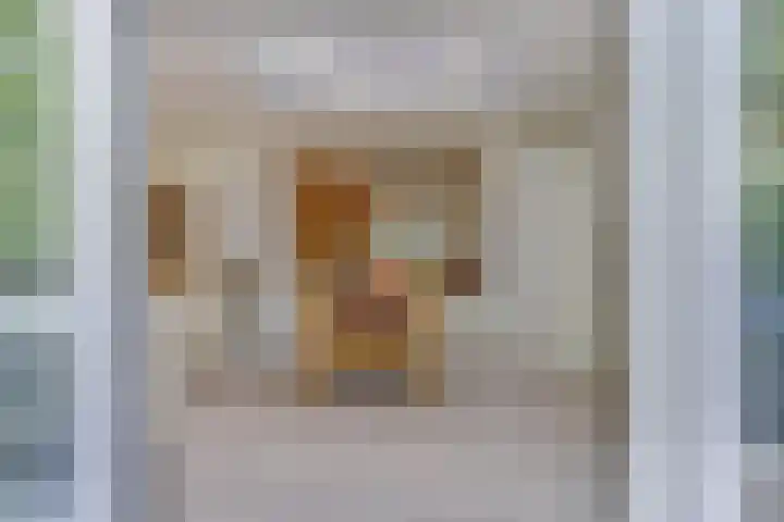 Domineeshof 10 Vessem foto 3
