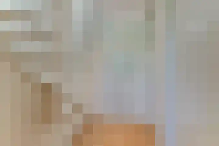 Domineeshof 10 Vessem thumbnail 30