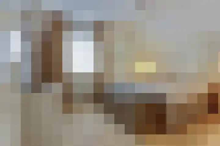 Domineeshof 10 Vessem thumbnail 31