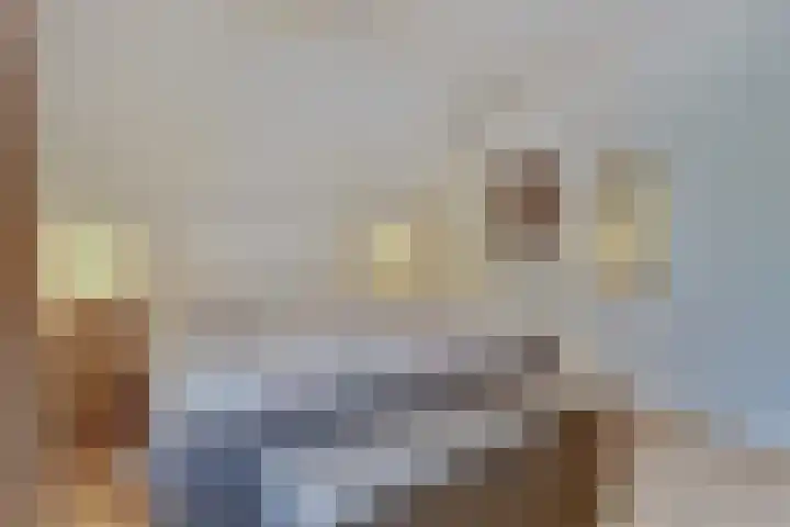 Domineeshof 10 Vessem thumbnail 32