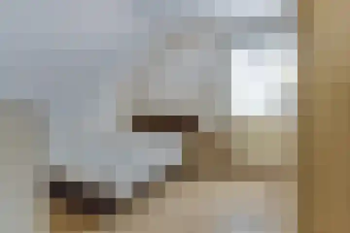 Domineeshof 10 Vessem thumbnail 34