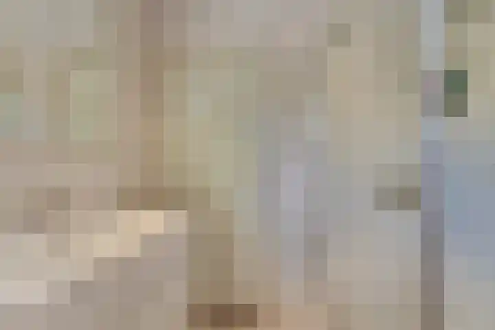 Domineeshof 10 Vessem thumbnail 36