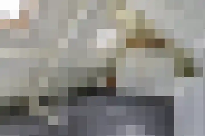 Domineeshof 10 Vessem thumbnail 38
