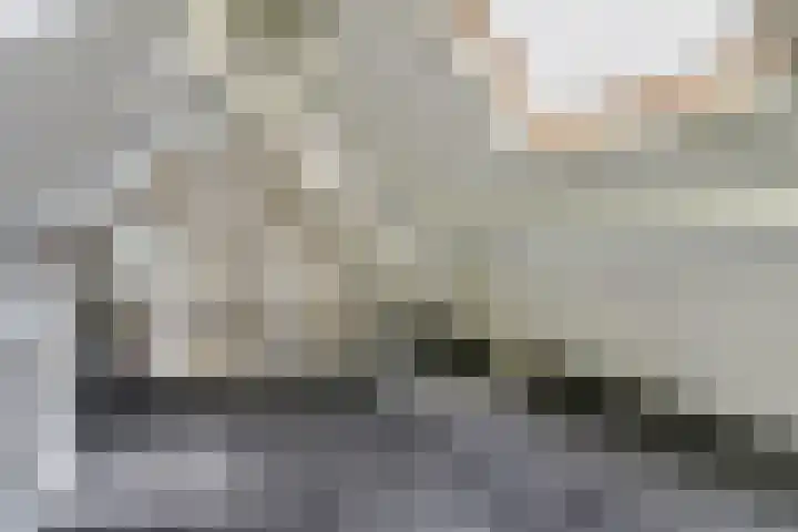 Domineeshof 10 Vessem thumbnail 39