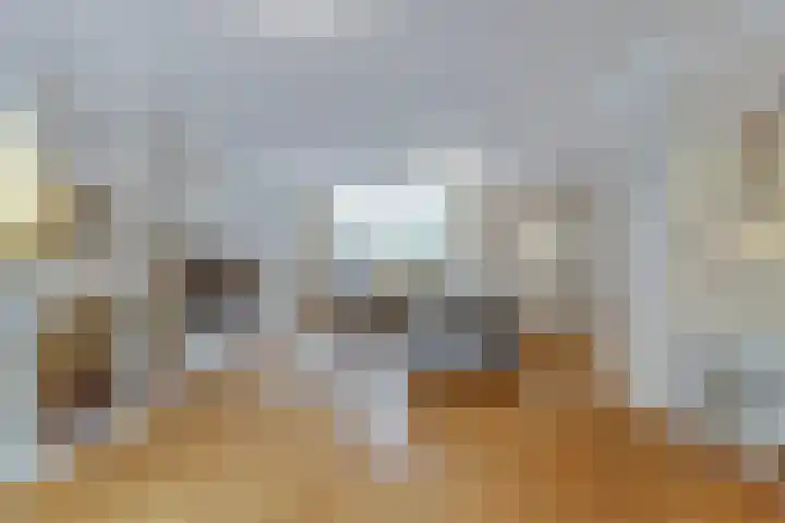 Domineeshof 10 Vessem thumbnail 4