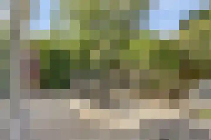 Domineeshof 10 Vessem thumbnail 40