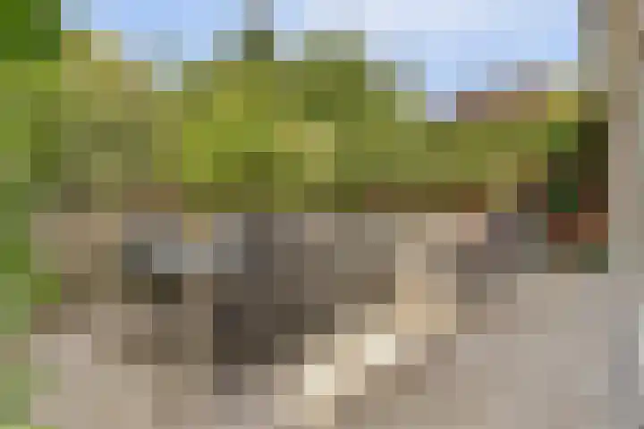 Domineeshof 10 Vessem thumbnail 41