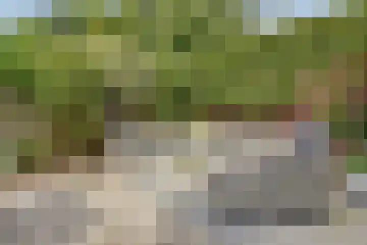 Domineeshof 10 Vessem thumbnail 42