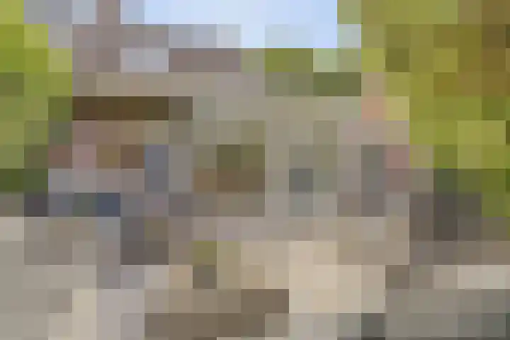 Domineeshof 10 Vessem thumbnail 43