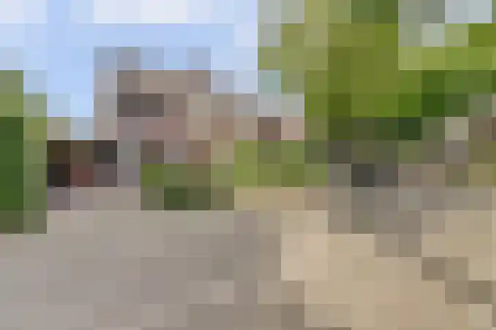 Domineeshof 10 Vessem thumbnail 45
