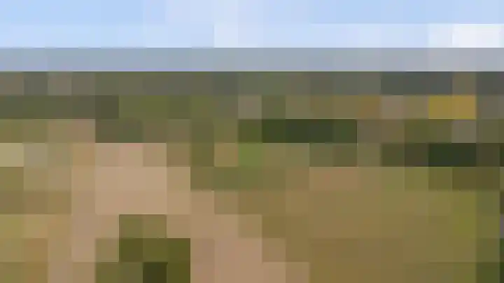 Domineeshof 10 Vessem thumbnail 5