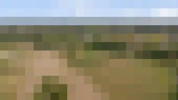 Domineeshof 10 Vessem thumbnail 50