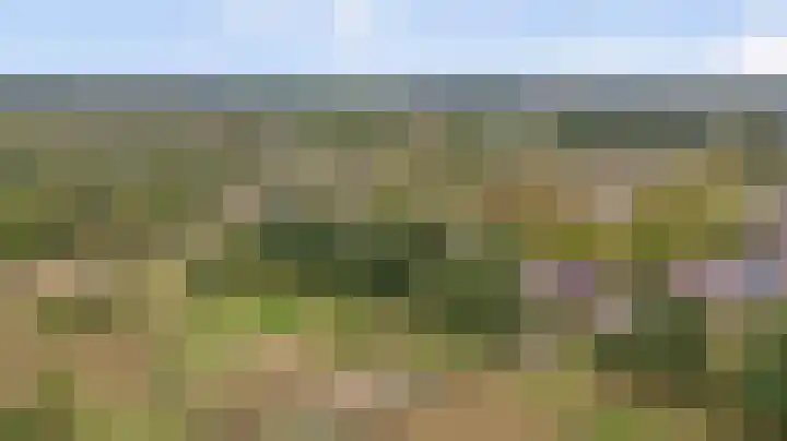 Domineeshof 10 Vessem thumbnail 51