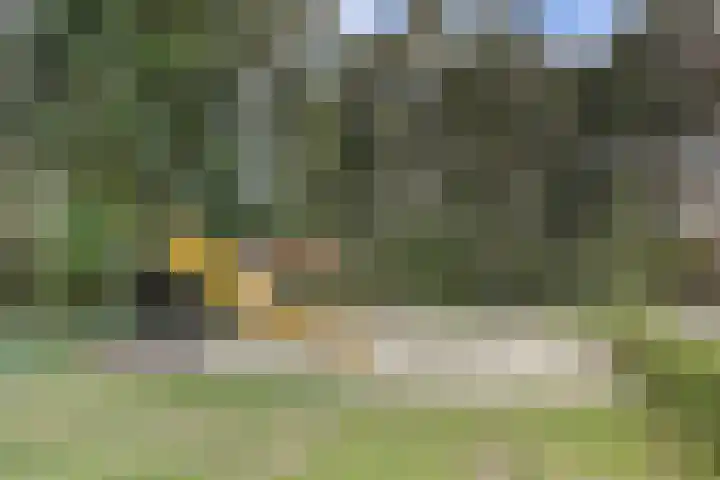 Domineeshof 10 Vessem thumbnail 52