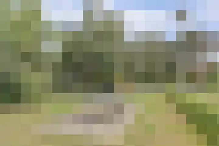 Domineeshof 10 Vessem thumbnail 53
