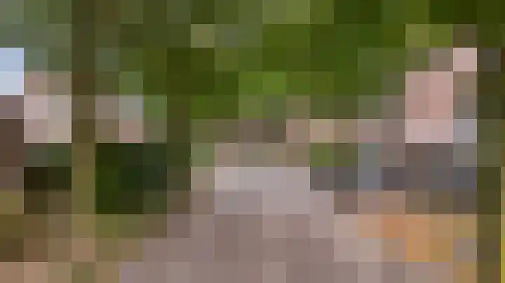 Domineeshof 10 Vessem thumbnail 6