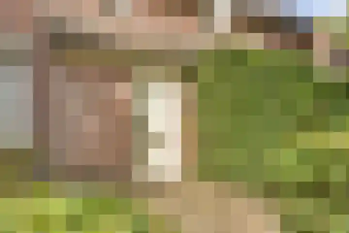 Domineeshof 10 Vessem thumbnail 8