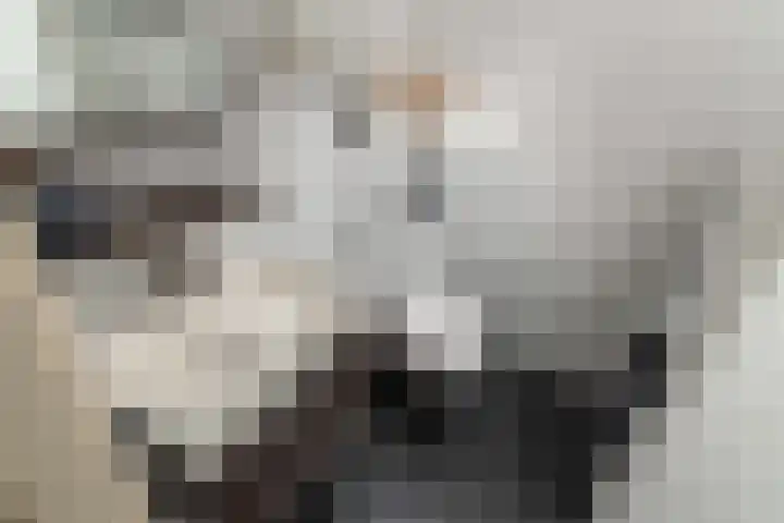 Domineeskamp 22 A Raalte thumbnail 11