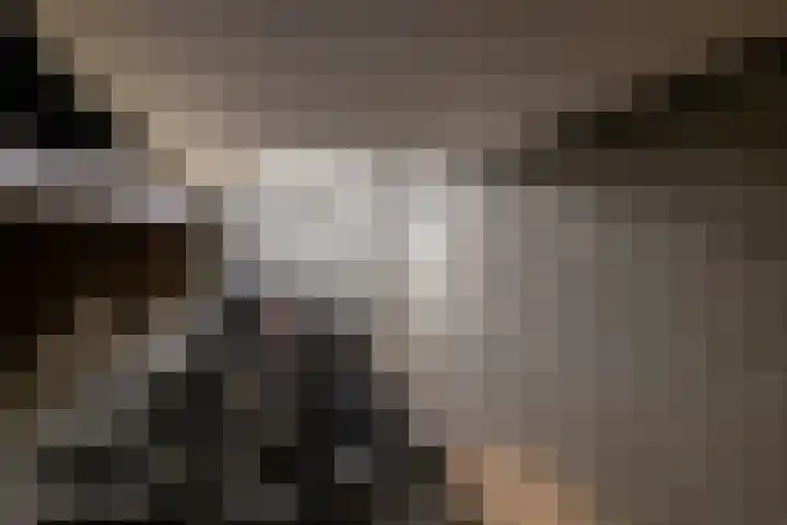 Domineeskamp 22 A Raalte thumbnail 16