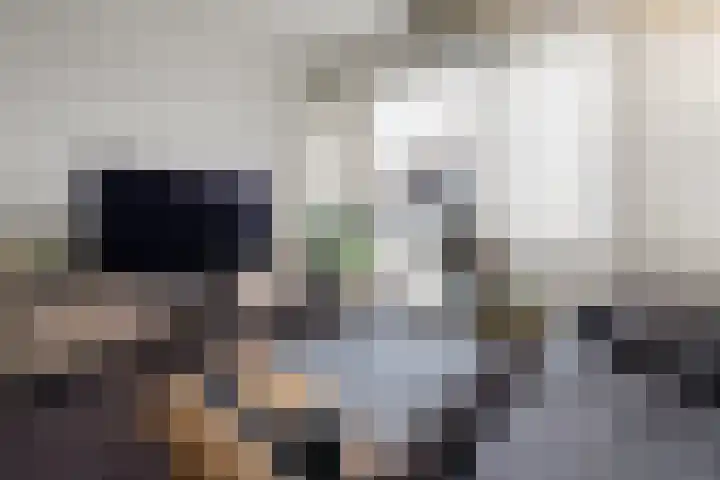 Domineeskamp 22 A Raalte thumbnail 4
