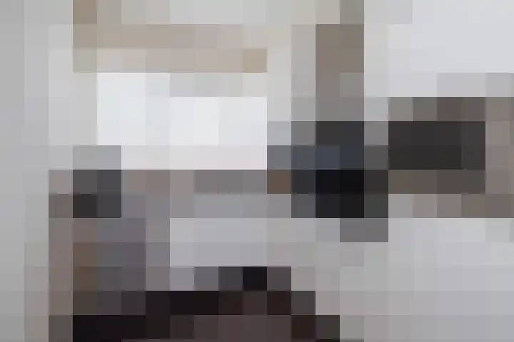 Domineeskamp 22 A Raalte thumbnail 8
