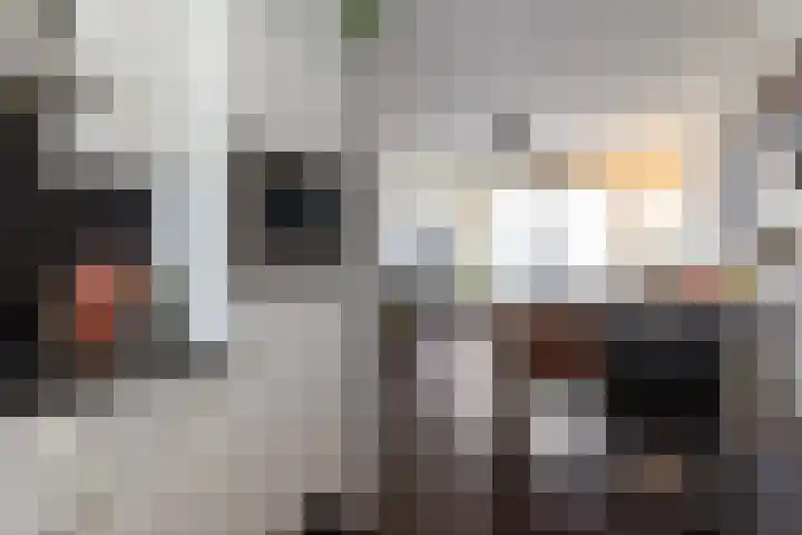 Domineeskamp 22 A Raalte thumbnail 9