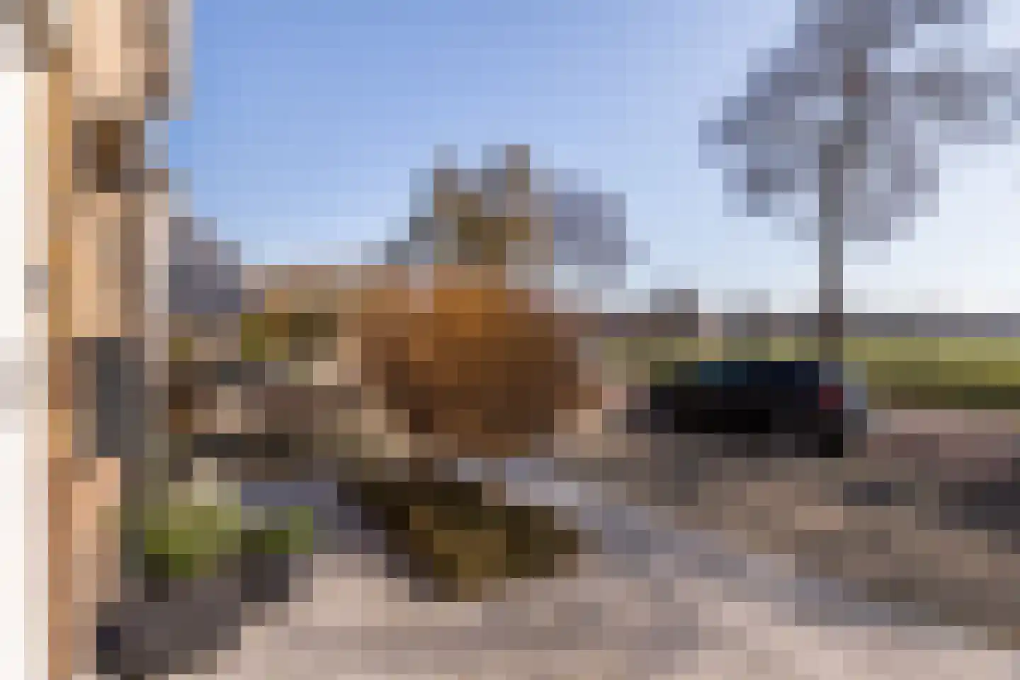 Domineeslaan 123 A Zwanenburg thumbnail 29