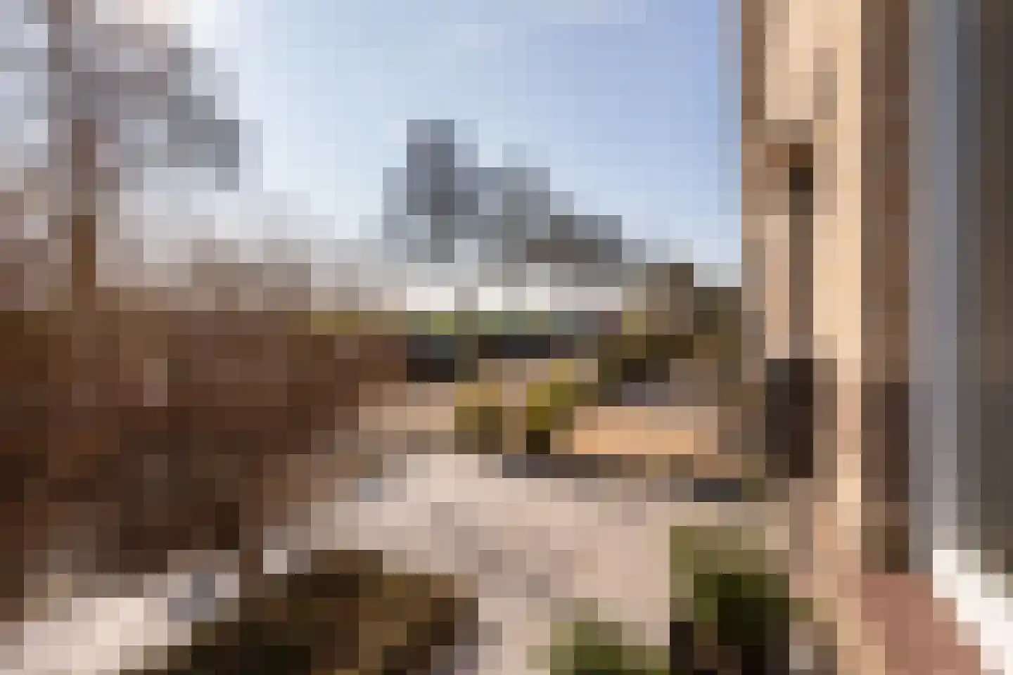 Domineeslaan 123 A Zwanenburg thumbnail 30