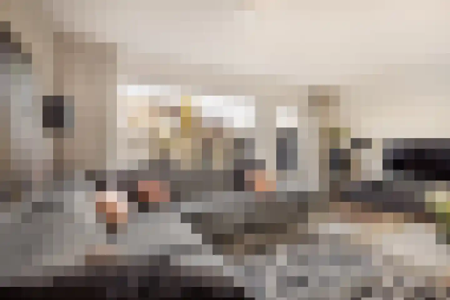 Domineeslaan 123 A Zwanenburg thumbnail 4