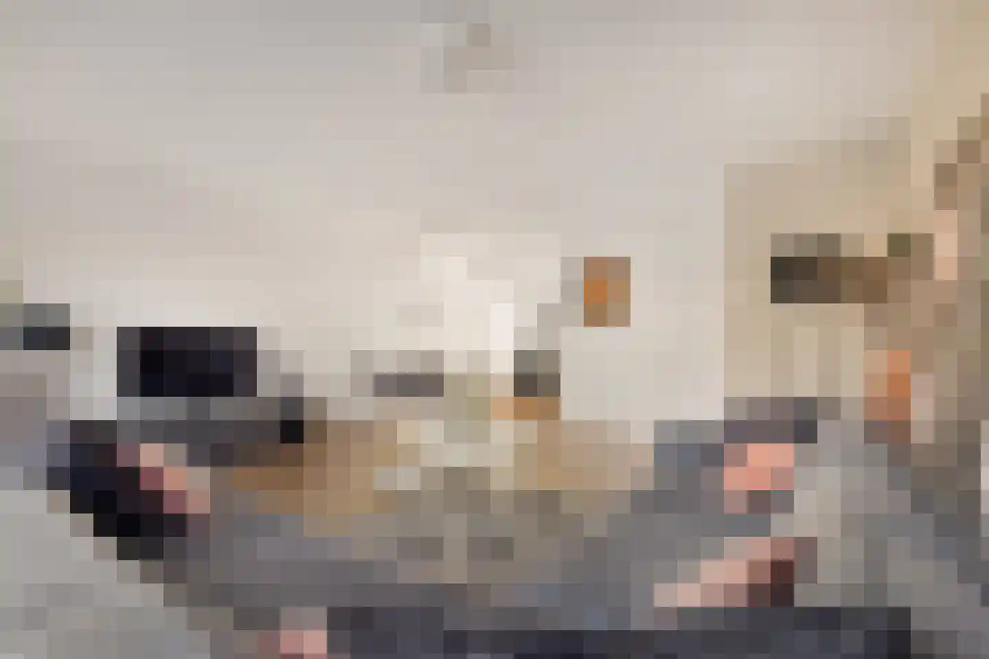 Domineeslaan 123 A Zwanenburg thumbnail 8