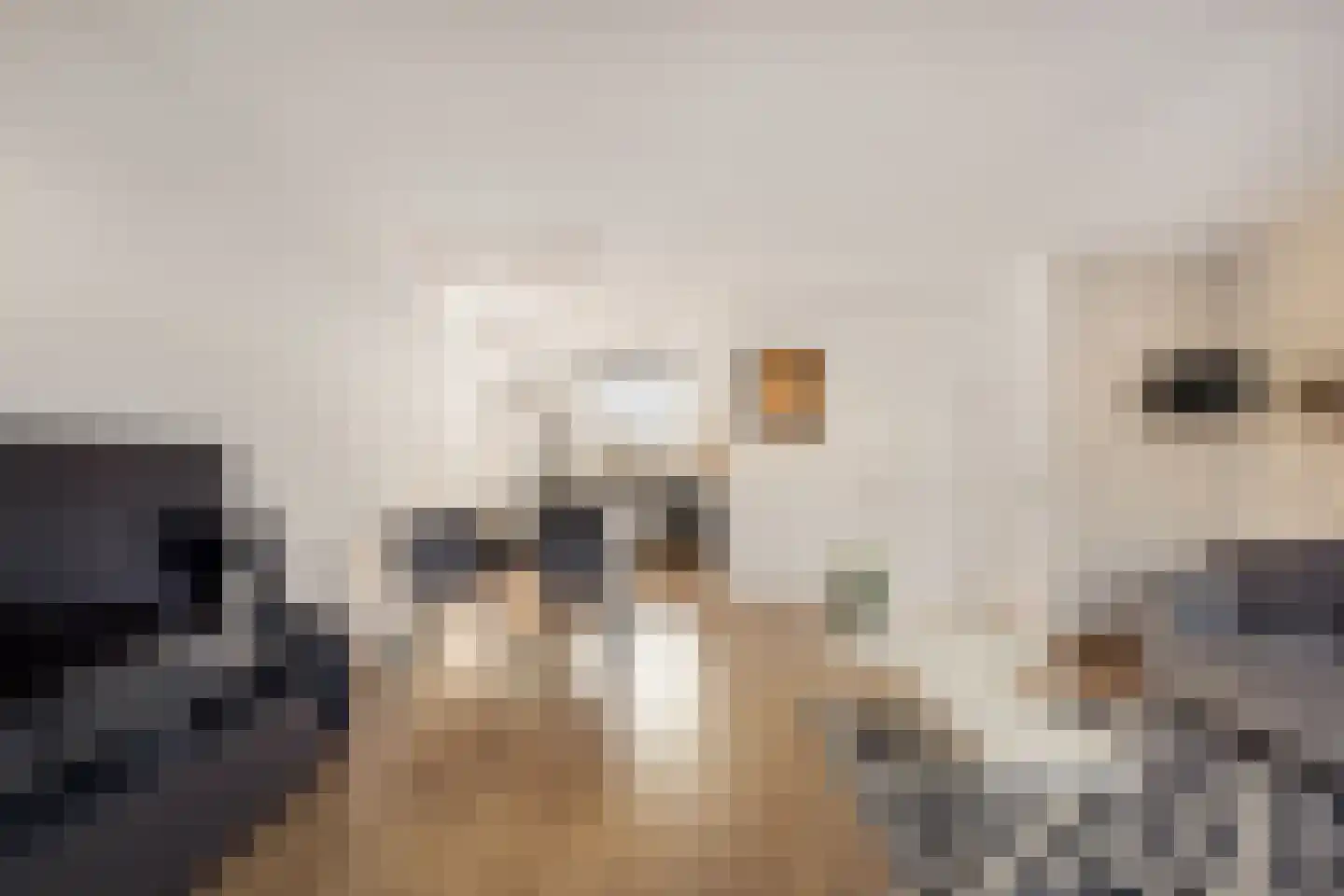 Domineeslaan 123 A Zwanenburg thumbnail 9