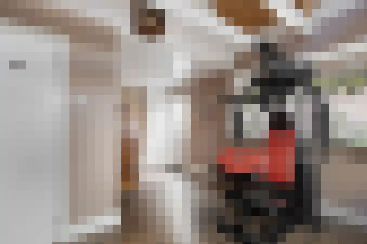 Domineeslaan 77 Zwanenburg thumbnail 27