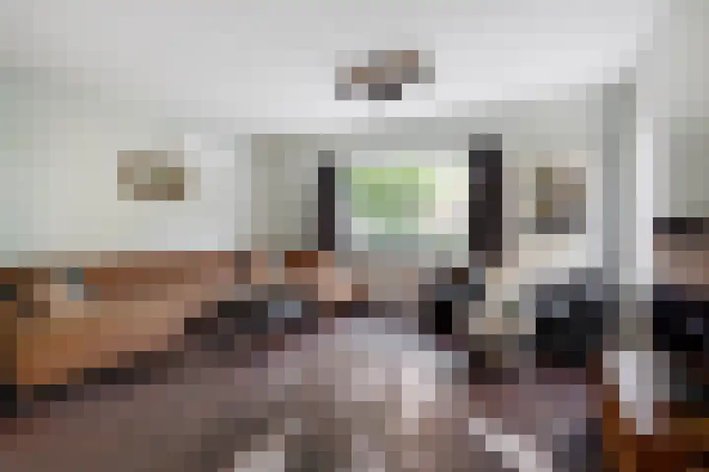 Domineeslaan 77 Zwanenburg thumbnail 6
