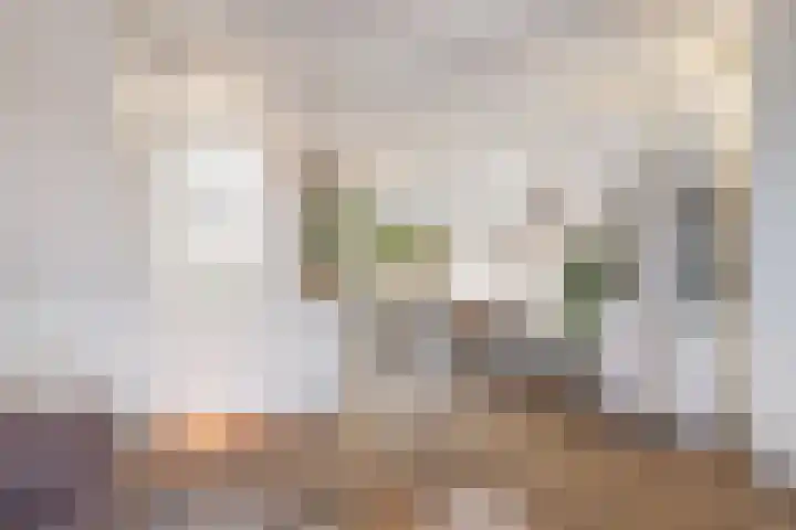 Domineeslaantje 35 Breukelen thumbnail 14