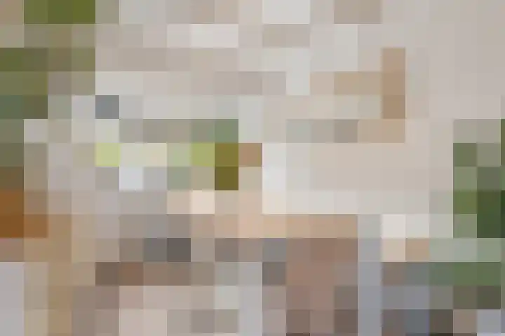 Domineeslaantje 35 Breukelen thumbnail 15