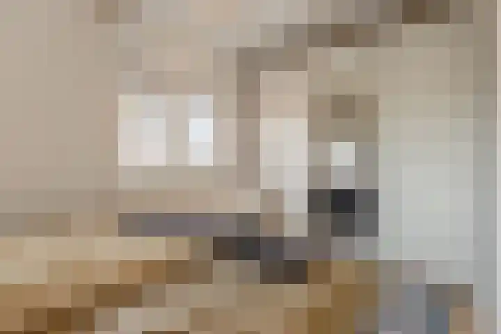 Domineeslaantje 35 Breukelen thumbnail 19