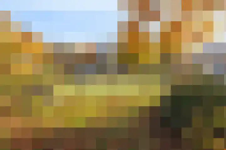 Domineeslaantje 35 Breukelen thumbnail 38