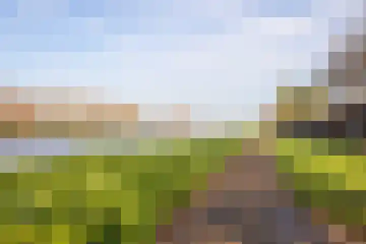 Domineeslaantje 35 Breukelen thumbnail 39