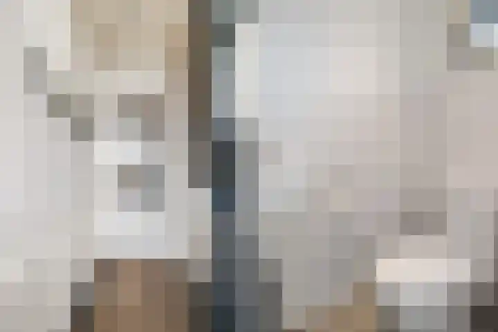 Domineeslaantje 35 Breukelen thumbnail 7