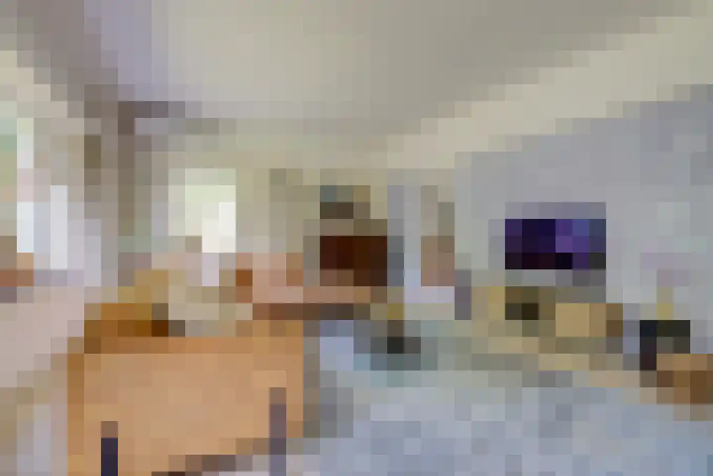 Domineesteeg 16 Ruurlo thumbnail 11