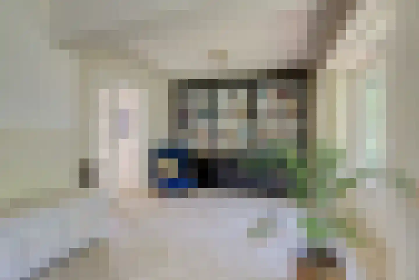 Domineesteeg 16 Ruurlo thumbnail 14