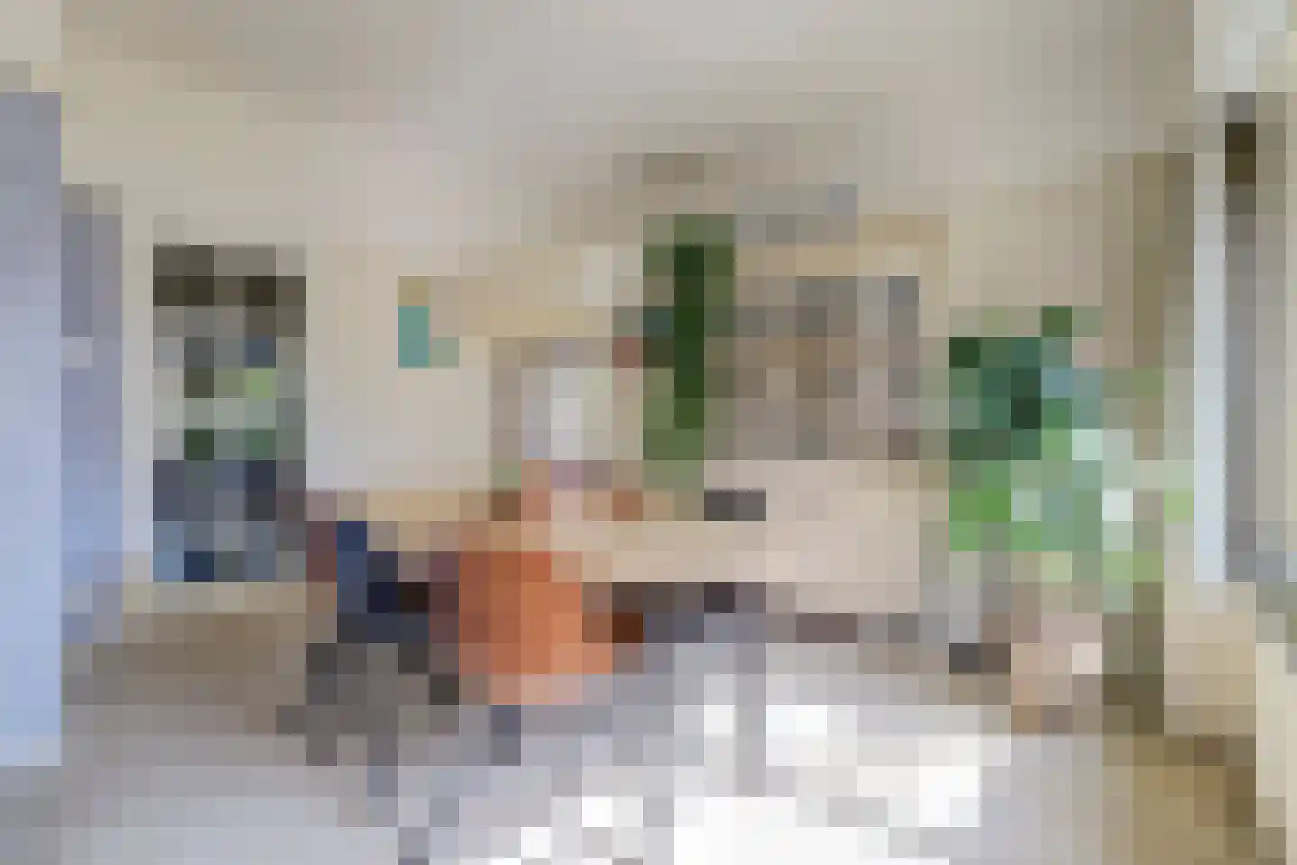 Domineesteeg 16 Ruurlo thumbnail 19
