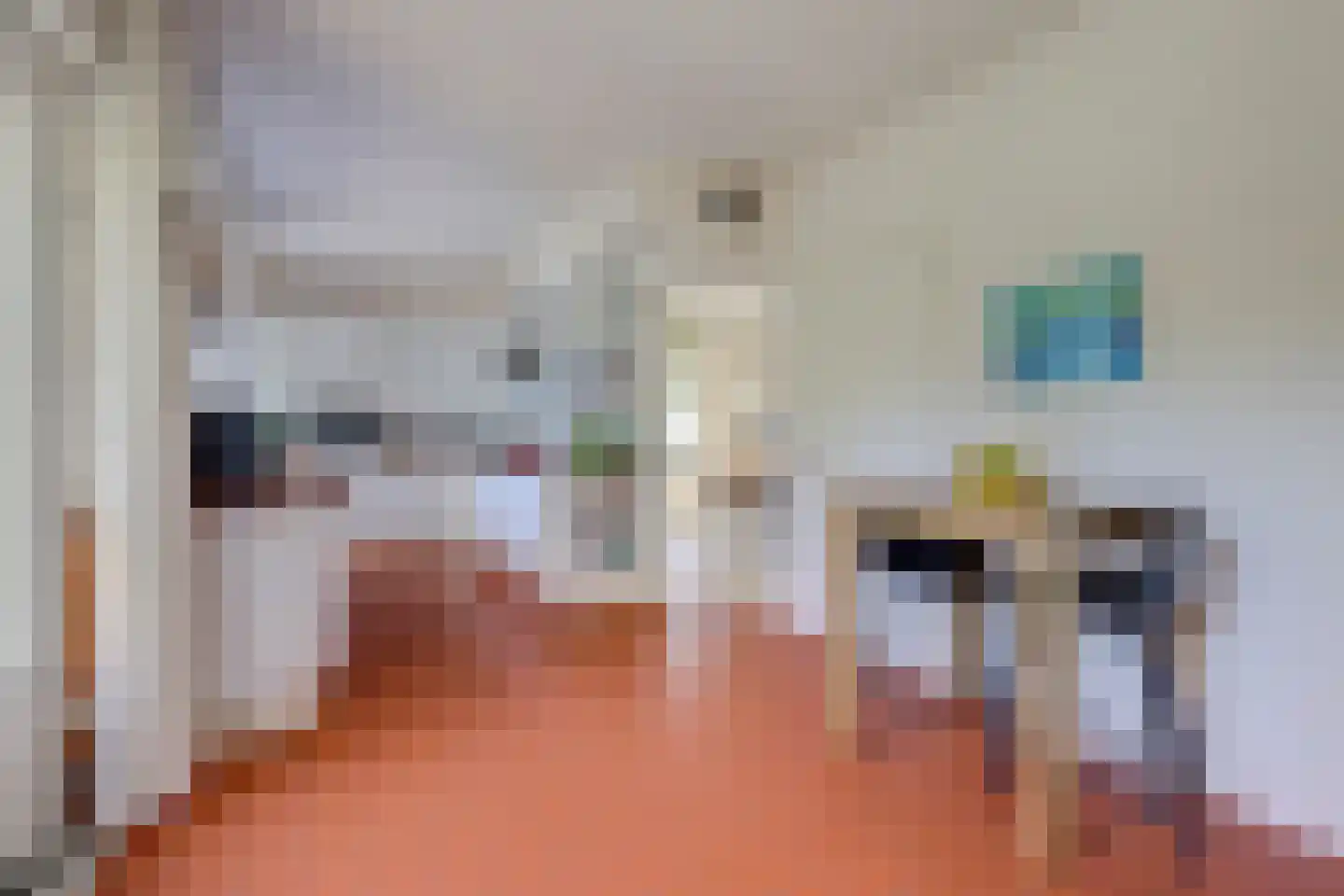 Domineesteeg 16 Ruurlo thumbnail 21