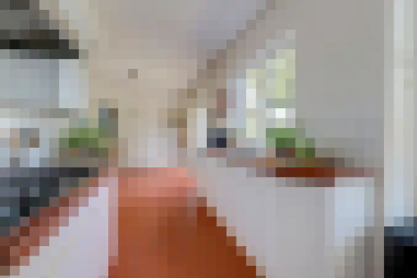 Domineesteeg 16 Ruurlo thumbnail 22