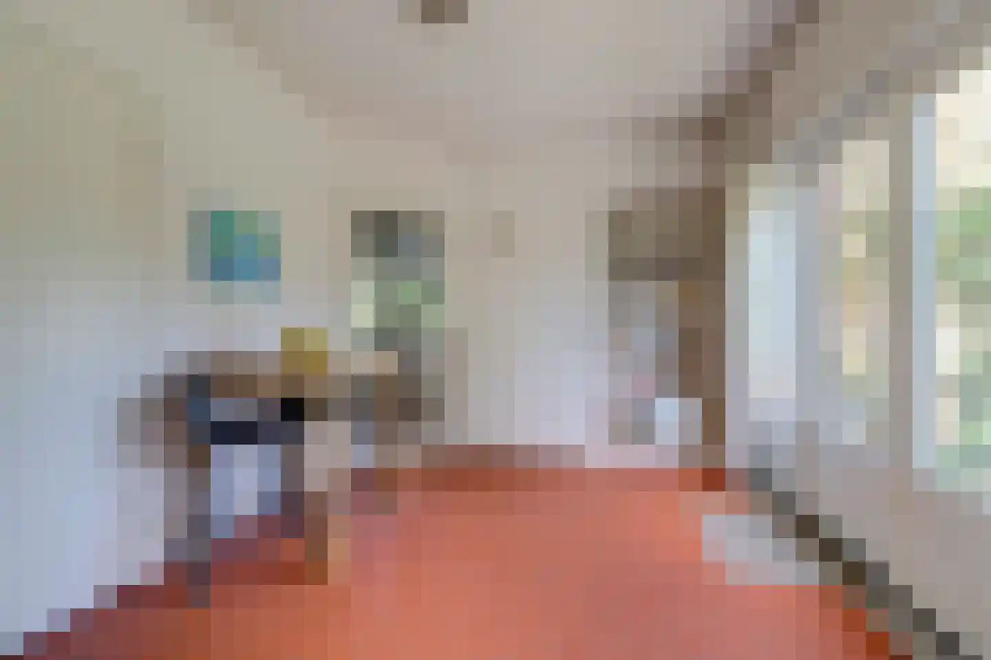 Domineesteeg 16 Ruurlo thumbnail 23