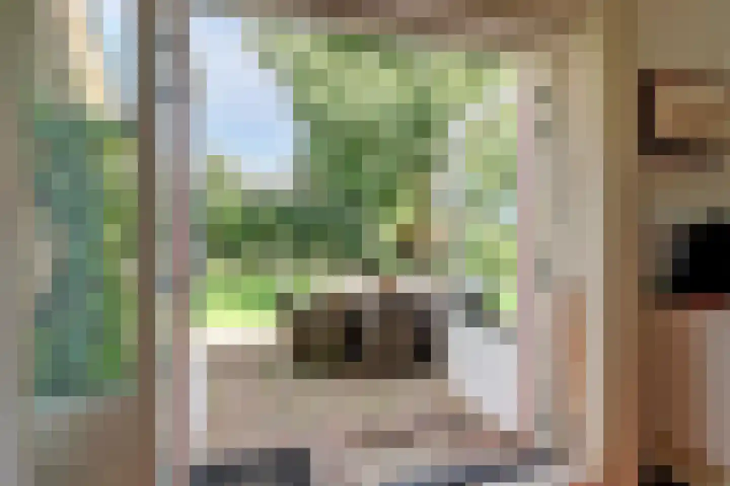 Domineesteeg 16 Ruurlo thumbnail 24