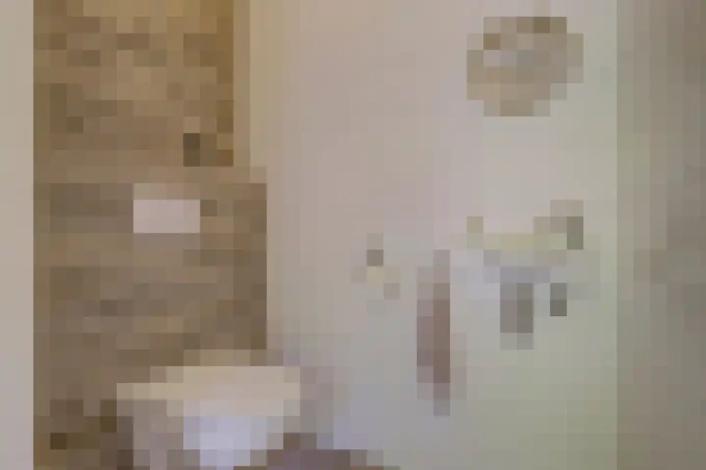 Domineesteeg 16 Ruurlo thumbnail 26